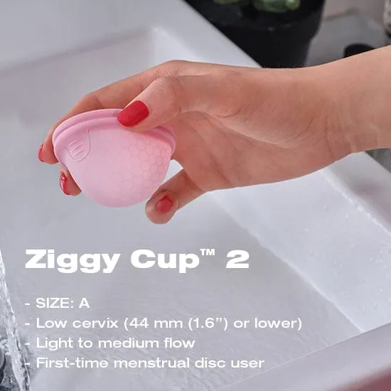 Intima Ziggy Cup 2