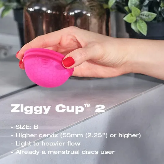 Intima Ziggy Cup 2