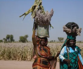 Sudan Food Basket