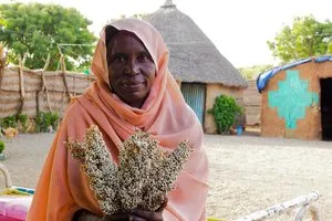 Sudan Food Basket