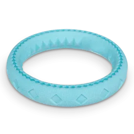 Totally Pooched Chew' n Tug Ring, Foam Rubber Dog Toy, 6.5"