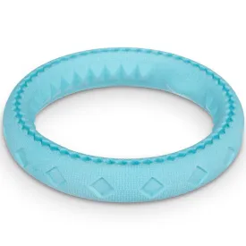 Totally Pooched Chew'n Tug Foam Rubber Ring Dog Toy (Teal)